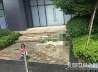 赵本山徒弟任娇死亡现场照片曝光，裸体陈尸酒店楼下