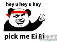 pick什么意思，原意是挑选、选择(之后因偶像练习生而走红)