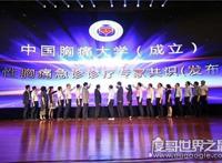 胸痛大学不是高校，实际上就是一个学术组织