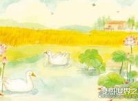 一畦春韭绿的下一句是什么，十里稻花香(出自曹雪芹《杏帘在望》)