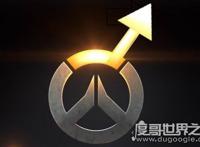 网络♂是什么意思，主要是指男性(植物学代指两性的花卉)