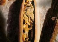 楼兰美女容貌复原图，千年女尸脸上浮现神秘微笑