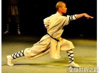 古代武林四大门派是哪4个？分别是少林、武当、峨眉和南拳