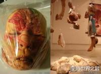 走进泰国恐怖博物馆，陈列着各种畸形变态的死尸(胆小勿进)