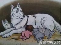 关于印度狼孩的故事，和狼一样行走和嚎叫(由狼抚养长大)
