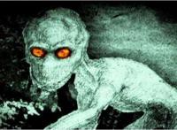 2018年世界十大新物种，美国多佛恶魔形似外星人