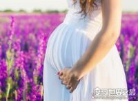 尿里撒盐看生男生女，没有科学依据并不准确