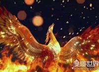 世界上最后一只神兽，黑龙江村民拍到凤凰神兽(真实图片)