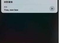 树新蜜蜂英语怎么说，跟着我一起念＂吹牛B＂(Tree New Bee)