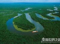 世界六大森林，亚马逊热带雨林乃是地球的绿色心肺