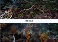 世界上最大的虫子，2011年时发现的南极巨虫长达55米