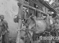 中国十大禁菜，浇驴肉残忍程度排名第一(活吃猴脑也在列)