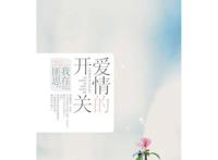 都市言情小说排行榜前10名，《爱情的开关》排名第一（当之无愧）