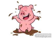 十猪九苦1983，详解猪年不同月份出生的运势