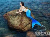 美人鱼是什么动物，一般认为儒艮或海牛是美人鱼的生物原型