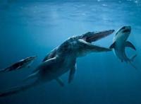 世界上咬合力最强的鲸鱼，龙王鲸可摧毁超过1600公斤重的头颅(已绝种)