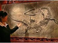 松花江坠龙事件，1944年的天降黑龙是真是假（真相考证）