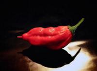 世界上第二辣的辣椒，印度鬼椒辣死过人(断魂椒)