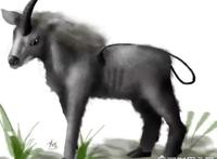 神农架棺材兽真的存在吗，传说长得像牛头马面(至今未证实)