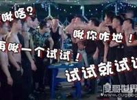 中国素质最差的三个省，东北/河南/北京都被带节奏