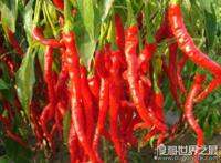 切辣椒后手很辣怎么办，5个妙招帮你快速缓解(食醋洗手最受欢迎)