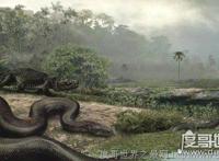 现今世界最大蟒蛇，亚马逊巨蟒(史上最大蟒蛇塞雷洪泰坦蟒)