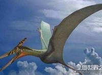 最凶猛的五大恐龙，五大暴龙排名揭晓（霸王龙仅排第四）