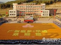 世界上最大的水果拼图，由37万多个水果组成(面积达2200平方米)