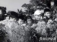共产儿童团歌出自哪个电影，影片《红孩子》的主题曲(1958年上映)