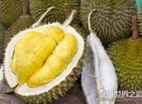 女性吃榴莲最佳时间，最后早上或中午吃(晚上最好不要吃)