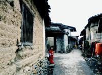 1987陕西夜狸猫事件，一个村子一夜之间全部消失(迷)