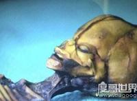 世界十大et外星人图片，证明外星人真的在地球上活动