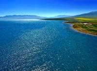 青海湖真龙现身事件，黑龙前后两次现身是真实的吗（几种说法）