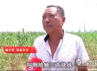 民警让瓜农倒赔偷瓜贼300元，网友：小偷不抓还替小偷维权