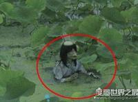 世界上有水猴子吗，水鬼的真实身份被揭开(其实是水獭)