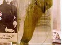 世界最大的阴茎，非洲象人族能长到30厘米长