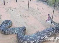 1963长白山大蛇，长白山发现3000年巨蛇传闻是真是假