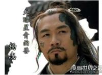 青面兽杨志的性格特点分析，是一个既优柔寡断又粗枝大叶的人