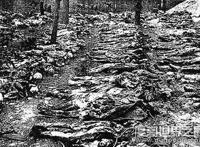 电影卡廷惨案真实历史故事，1940年苏联屠杀2.1万名波兰人