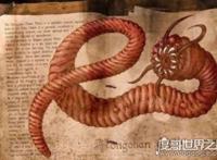 蒙古死亡之虫疑真实存在，探险家远赴蒙古戈壁追寻神秘肠虫