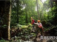 驴友是什么意思，通常指那些爱好自主旅游的人(驴友是旅游谐音)