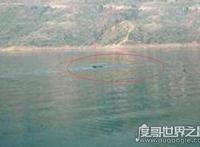 贵州六盘水水怪真相之谜，身长十米能掀翻货船(附现场视频)