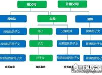 直系亲属包括哪些，配偶、父母、子女等(直接血缘或婚姻关系)