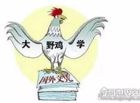 野鸡大学是什么意思，就是指以骗钱为目的假学校(文凭不被承认)