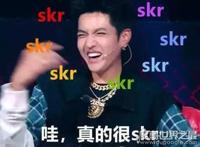 skr是什么意思？skr是什么梗？(模仿摩托车刹车声的拟声词)