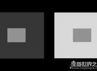 10道门萨智商测试题，IQ150以上的人才能全对(附答案)