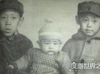 姜文姜武是双胞胎吗，亲兄弟关系姜文姜武对比照