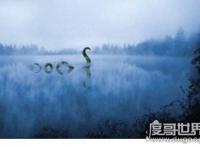 传闻中的尼斯湖水怪图片，真相已被揭开(疑似巨型鳗鱼)