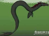 世界上真实存在的水怪，卡布罗龙(体长20米的马头蛇尾大海怪)