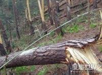 揭秘贵阳空中怪车事件真相，疑是为外星人光临